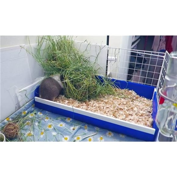Guinea Pig Litter Box Bed for Midwest Cages Patty Pan for Training Hay Box New - Picture 5 of 8
